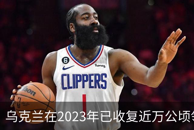 乌克兰在2023年已收复近万公顷领土